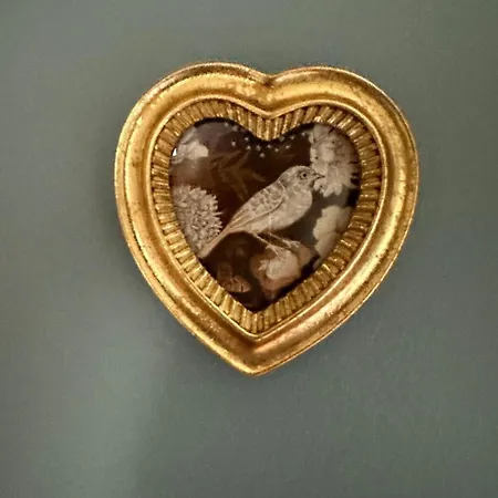 Bicotea - Le Calme Et Le Charme Ancien, Reinterprete بيت للعطل *